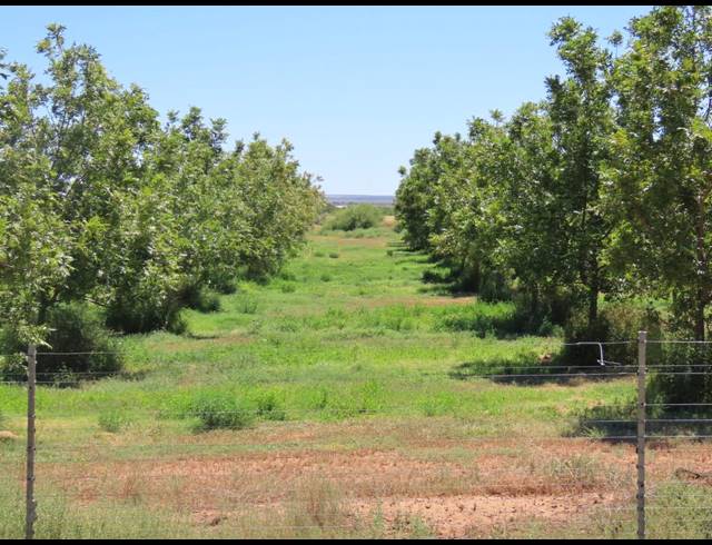 213HA FARM FOR SALE IN HOPETOWN RURAL